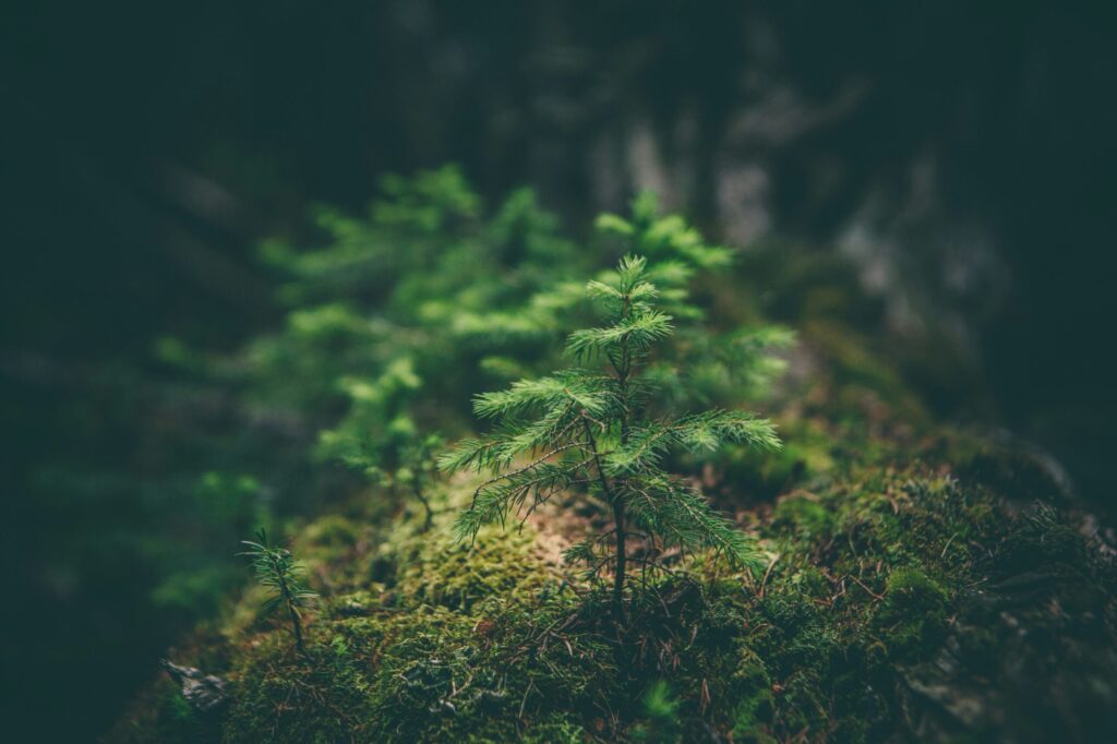 Hello World Featured Image